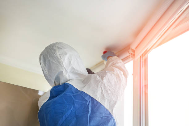 Why You Should Choose Our Mold Remediation Services in Montgomery City, MO