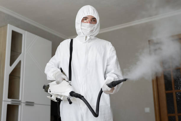 Best Attic Mold Removal  in Ntgomery City, MO