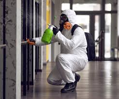 Best Asbestos and Lead Testing During Mold Inspection  in Ntgomery City, MO